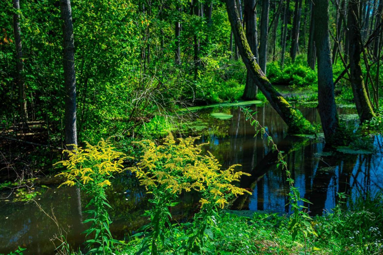 Hotel Lesna Osada Przy Suntago Park Krzyzowka  Esterno foto