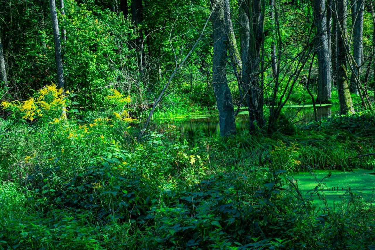 Hotel Lesna Osada Przy Suntago Park Krzyzowka  Esterno foto